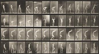 EADWEARD MUYBRIDGE (1830-1904) A selection of 4 plates from the pioneering motion study series Animal Locomotion.